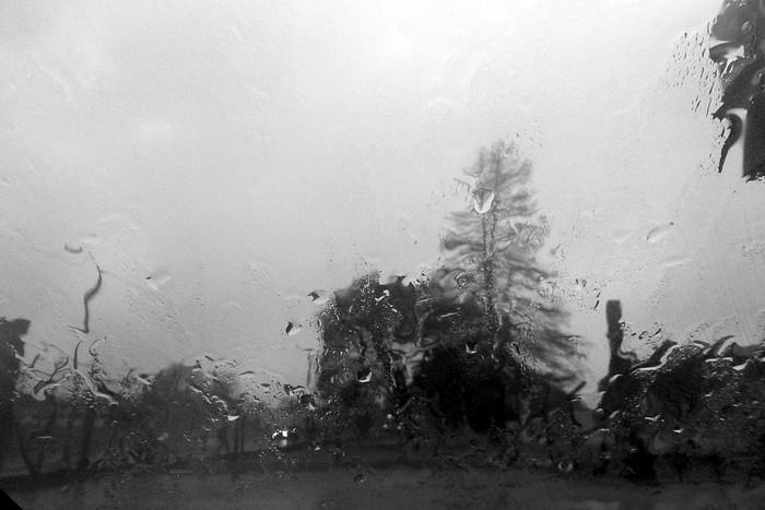 Jueves 6 en Montevideo. Foto: Iván Franco