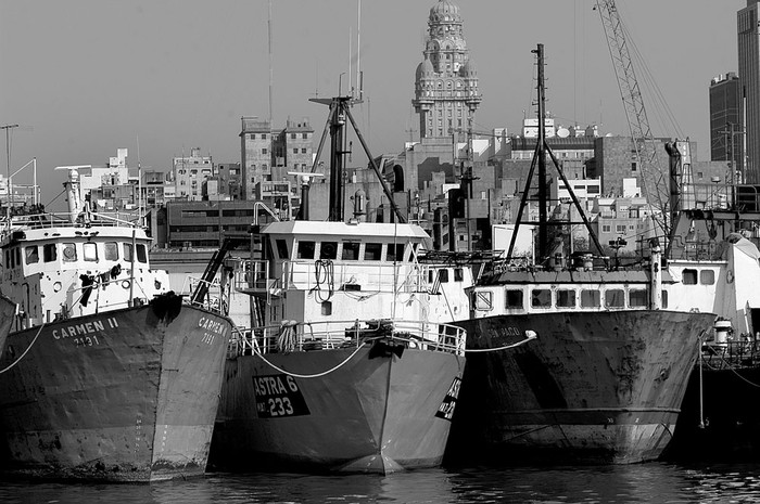Barcos pesqueros en el puerto de Montevideo. Foto: Iván Franco (archivo, agosto de 2005)
