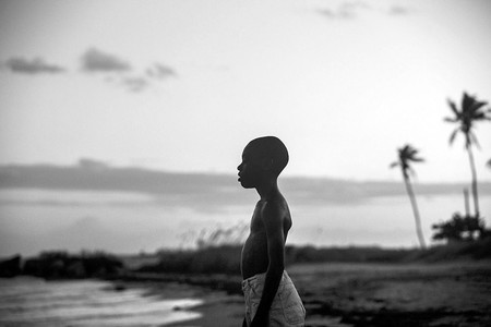 Moonlight. Moonlight.