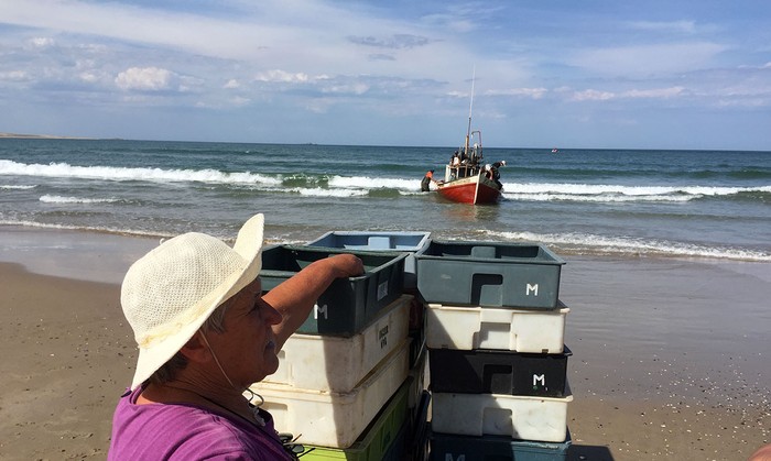 Pescadores en Cabo Polonio (archivo, diciembre de 2017).
 · Foto: Iván Franco