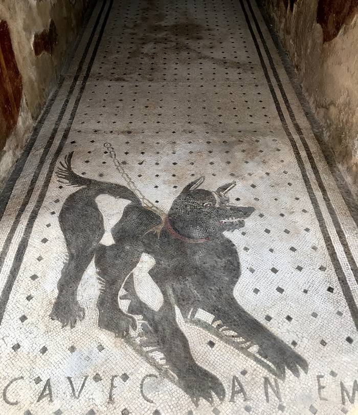 Hallazgos en Pompeya.  · Foto: Miguel Hermoso Cuesta