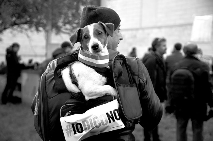 Un manifestante por el No en el referéndum constitucional, el 26 de noviembre, en Roma. Foto: Filippo Monteforte, AFP