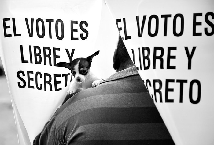 Mesa de votación en Texcoco, estado de México, ayer, durante la elección estatal. Foto: Pedro Pardo, AFP