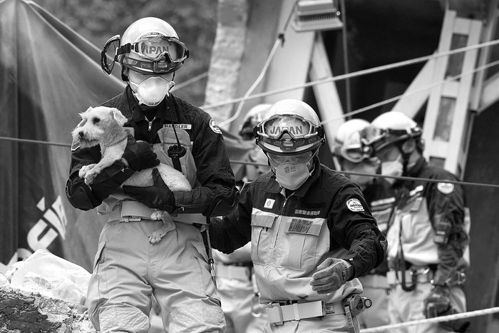Un perro que sobrevivió al terremoto es sacado por los rescatistas, de los escombros de un edificio derrumbado, ayer, en Ciudad de México. Foto: Alfredo Estrella, AFP