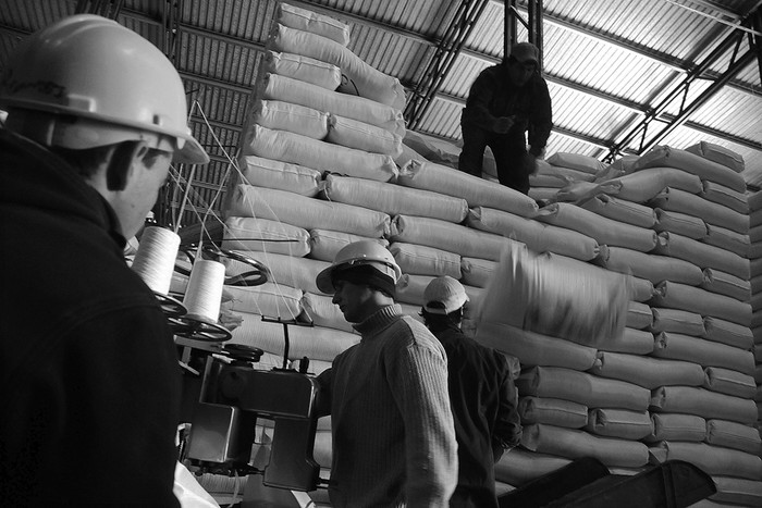 Trabajadores cargan un camión con arroz para exportación en el molino Casarone, en Río Branco.
 (archivo, agosto de 2010) · Foto: Sandro Pereyra