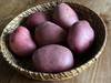 papas IMG-5949