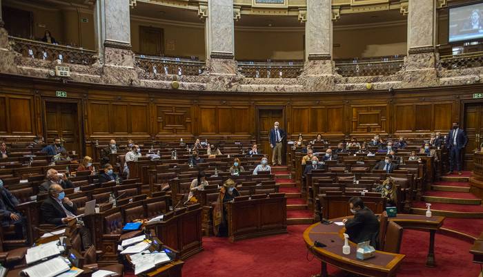Cámara de Diputados (archivo, agosto de 2021). · Foto: Alessandro Maradei