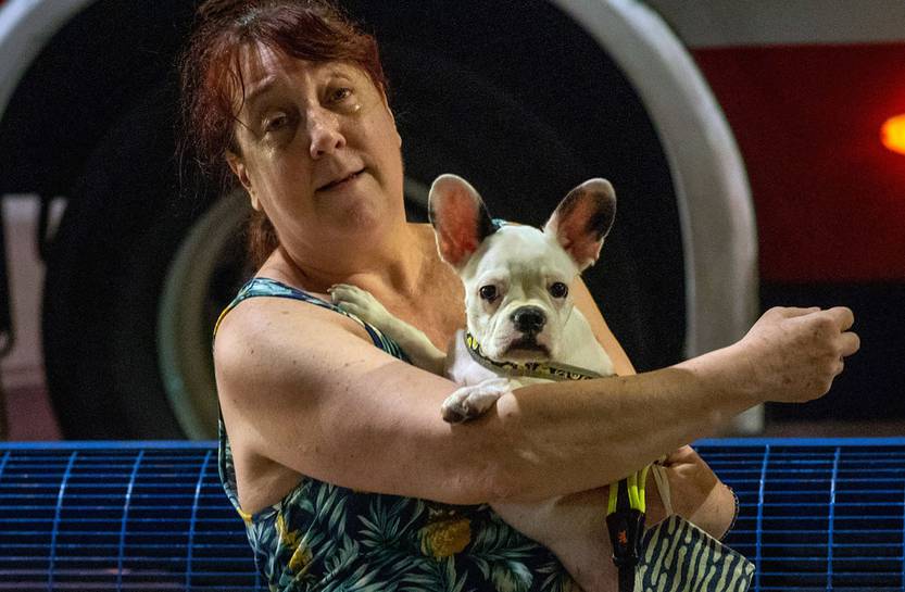 perro RAN20210226-007