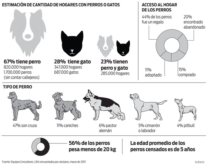 Foto principal del artículo 'Hay 1.700.000 perros en hogares de Uruguay, según estudio sobre población canina presentado ayer'