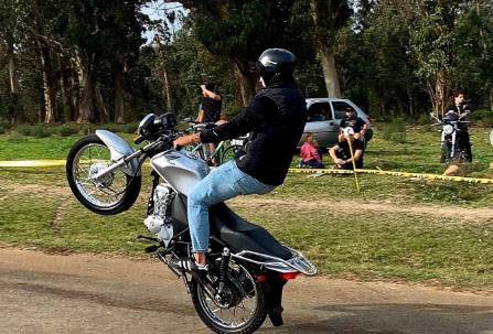 picadas pde