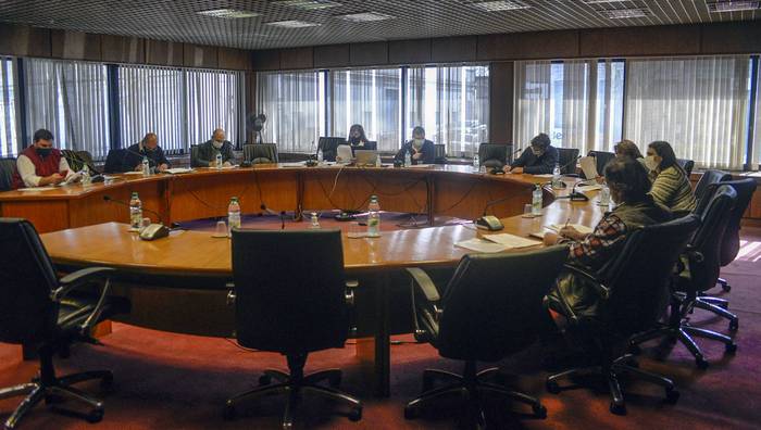 Discusión parlamentaria sobre plaguicidas, este martes, en el Anexo del Palacio Legislativo. · Foto: Alessandro Maradei