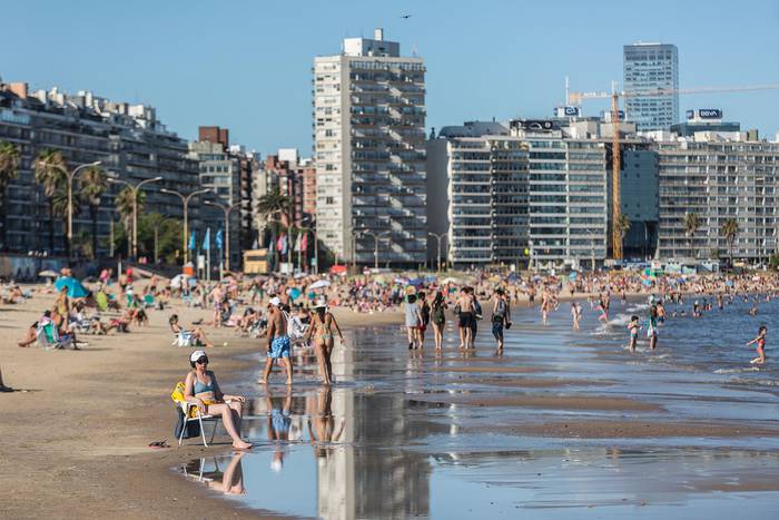 Playa Pocitos, Montevideo. (archivo, enero de 2021) · Foto: .