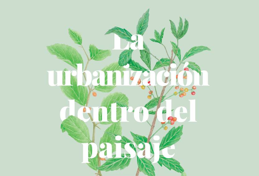 Lento 107 - La urbanización