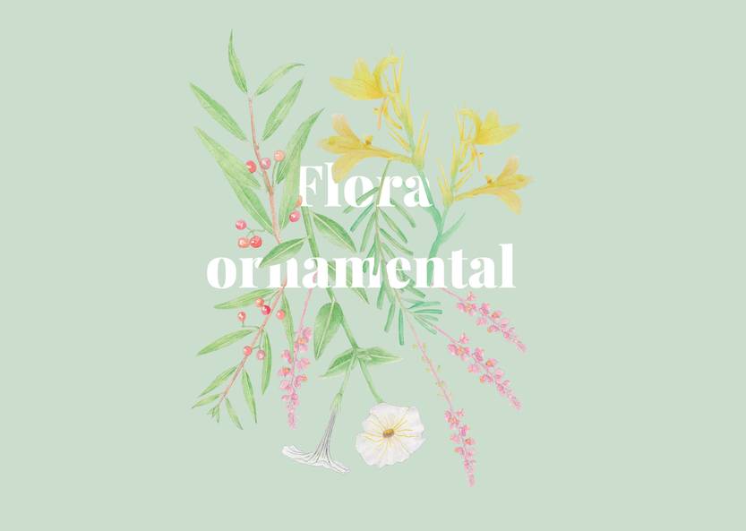 Lento 117 - Flora ornamental