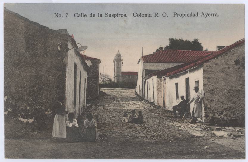 20220215 Colonia Pajarito