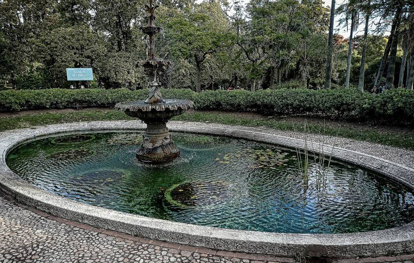 prado 20210515JC_0501