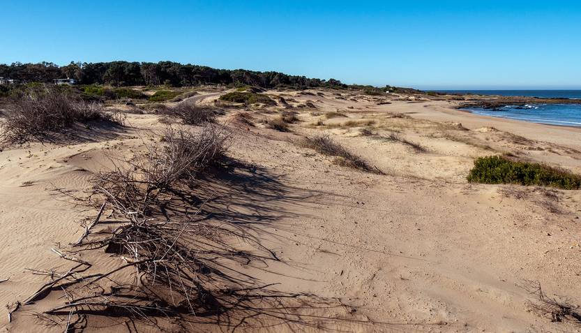 punta colorada P1360134