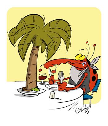 Foto principal del artículo 'Tres cosas que no sabías sobre el Picudo Rojo' · Ilustración: Cristian Moreira (MiLoco)