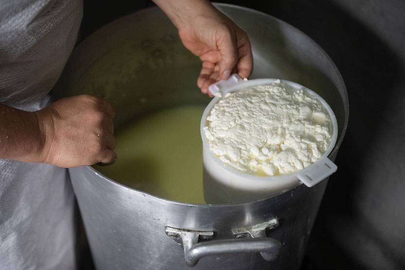 20251106 agropecuaria tambo ovino02