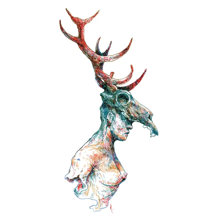 Foto principal del artículo 'Llevar el bosque contigo' · Ilustración: Ramiro Alonso