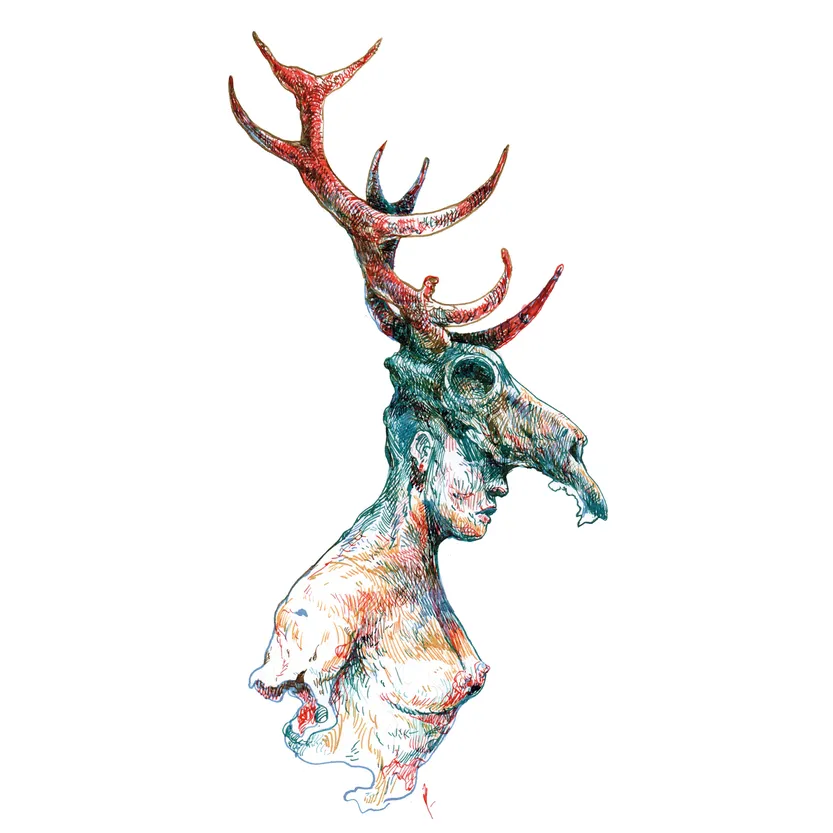 Llevar el bosque contigo