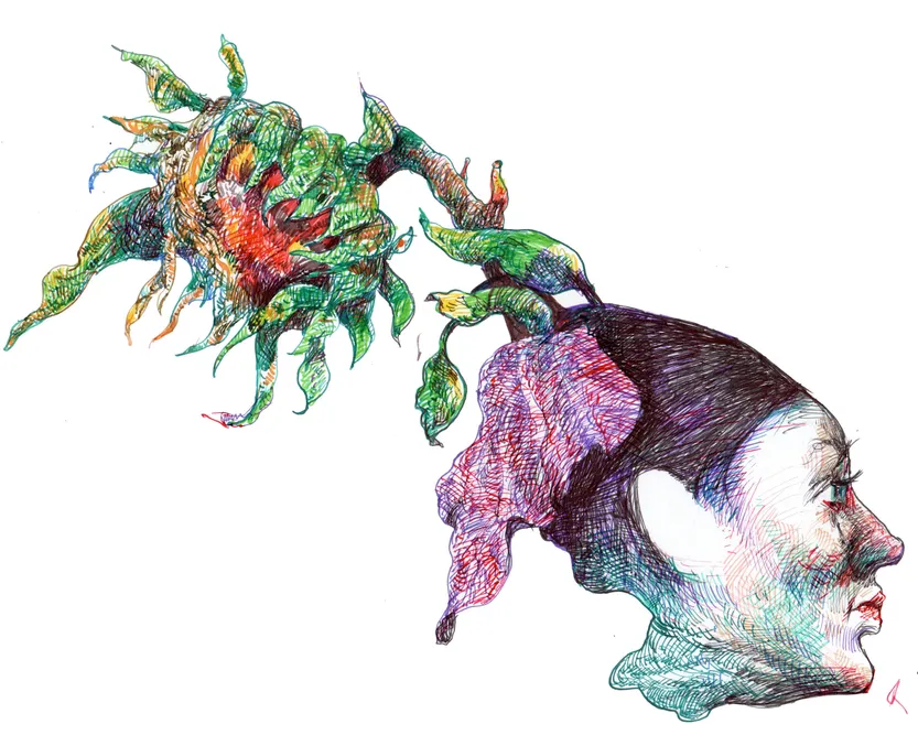 Estrellas distantes, ilustración