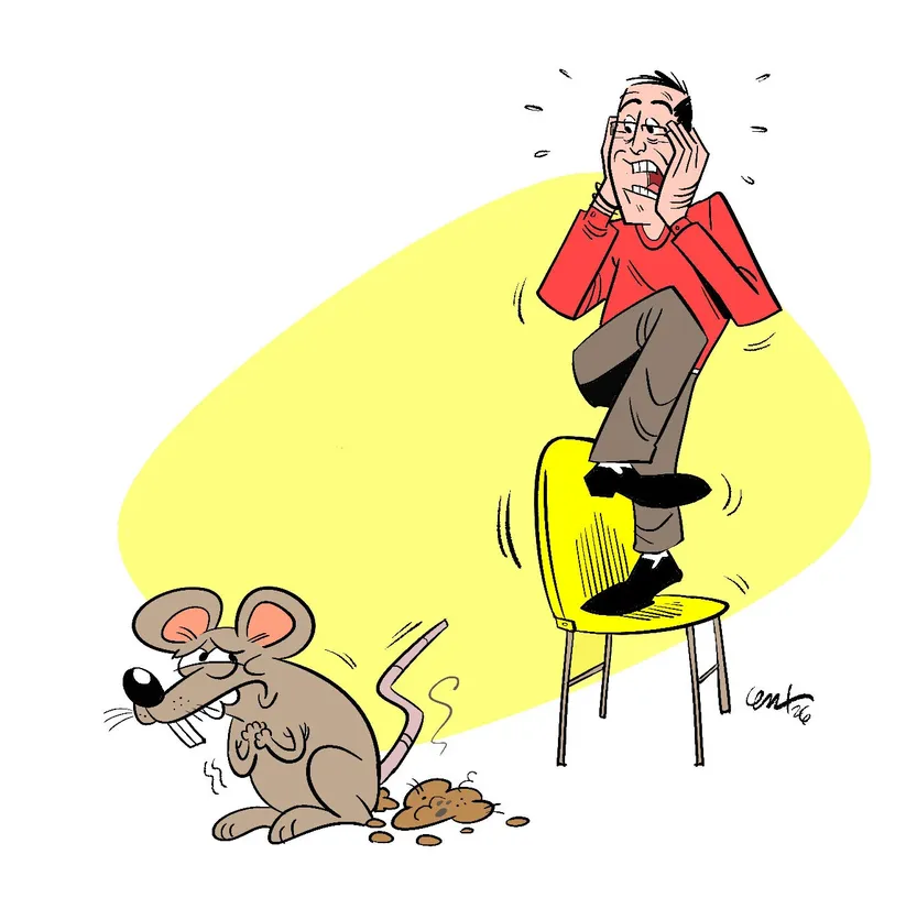 Hantavirus, ilustración