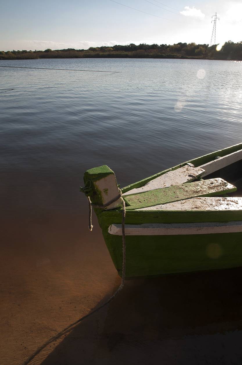 Lento 151 - Dos hermanos en el Cebollatí