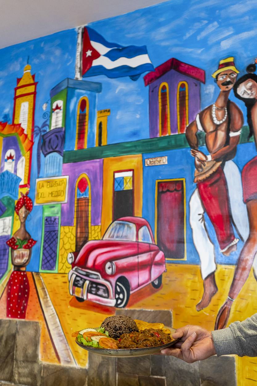 Lento 150 - Sazón y gorrión