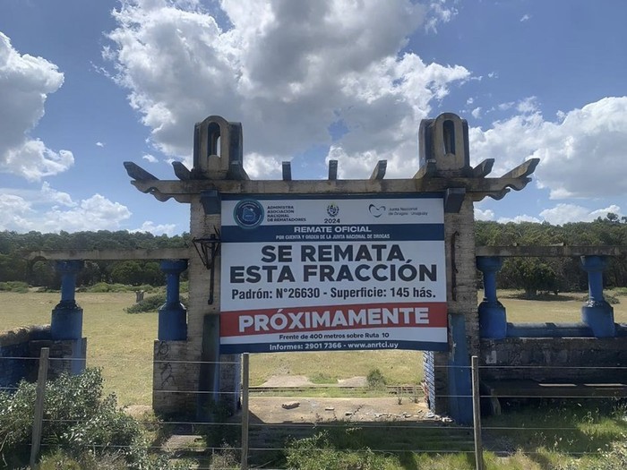 Foto: Junta Nacional de Drogas.