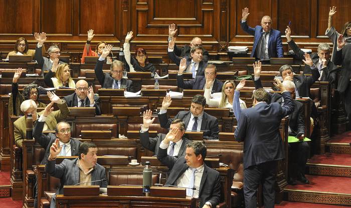 Diputados discute la Rendición de Cuentas (17.08.2022). · Foto: Federico Gutiérrez