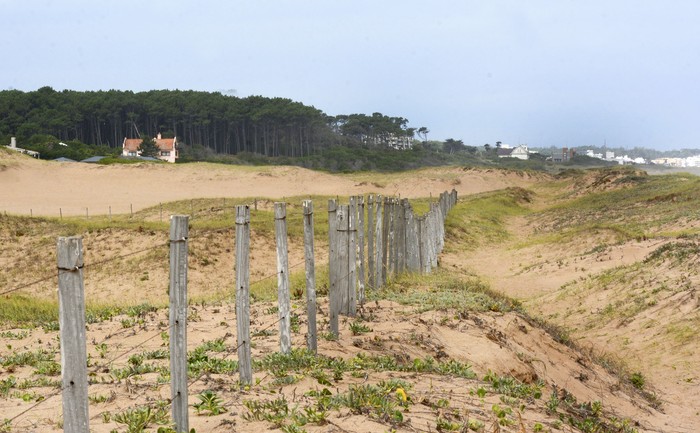 Zona costera de Punta Ballena, donde la Junta Departamental de Maldonado aprobó el fraccionamiento para un barrio privado (archivo, enero de 2023). · Foto: Virginia Martínez  Díaz