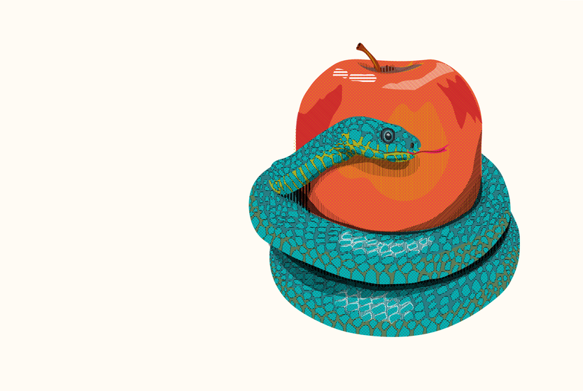 Efecto Trump, ilustración