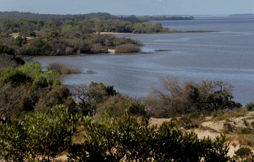 lento 116 - Rincón de Darwin