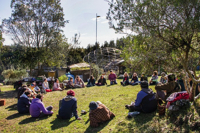 Foto principal del artículo 'Yerbas de hippiátrico' · Foto: Marcelo Casacuberta