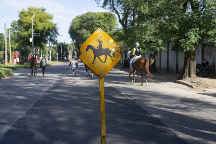 Calle José María Guerra, frente al Hipódromo Nacional de Maroñas (archivo, enero de 2020). · Foto: Alessandro Maradei