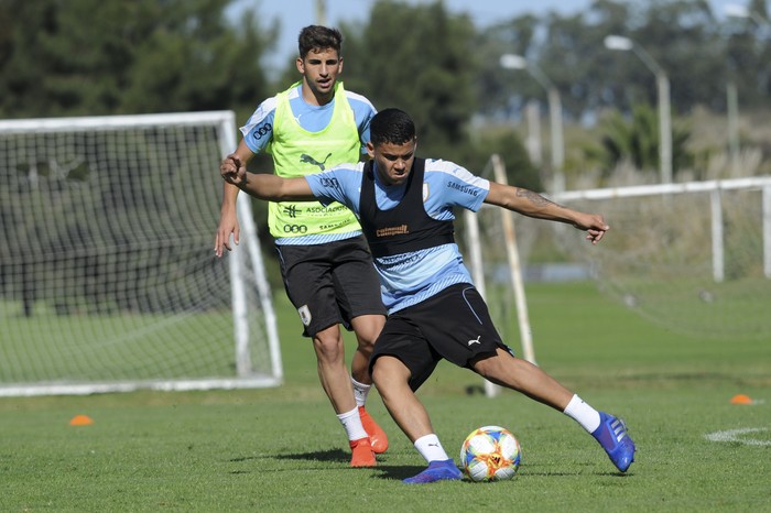 Entrenamiento de la selección uruguaya sub 20, en el Complejo Celeste (archivo, mayo de 2019). · Foto: Federico Gutiérrez