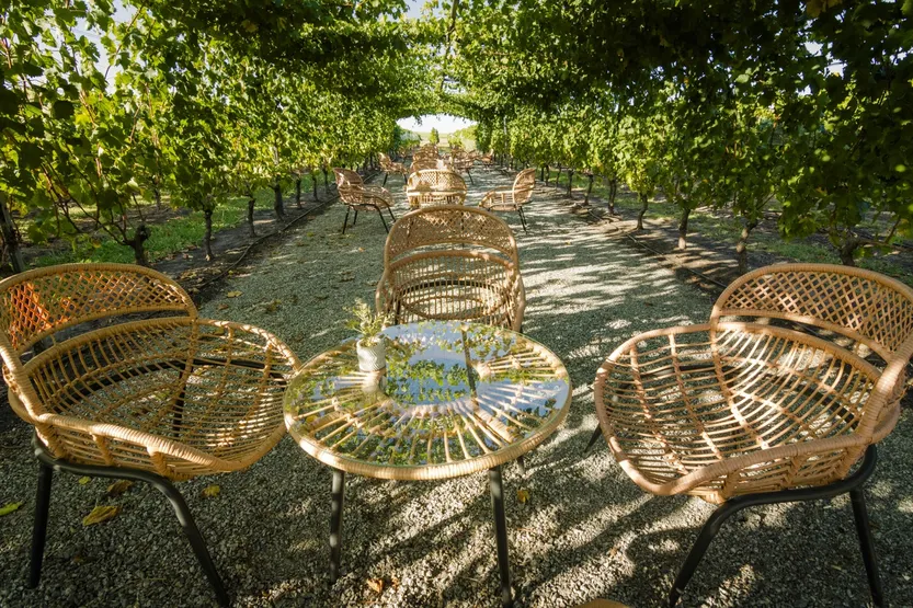 20240324 suple T P12-13F1