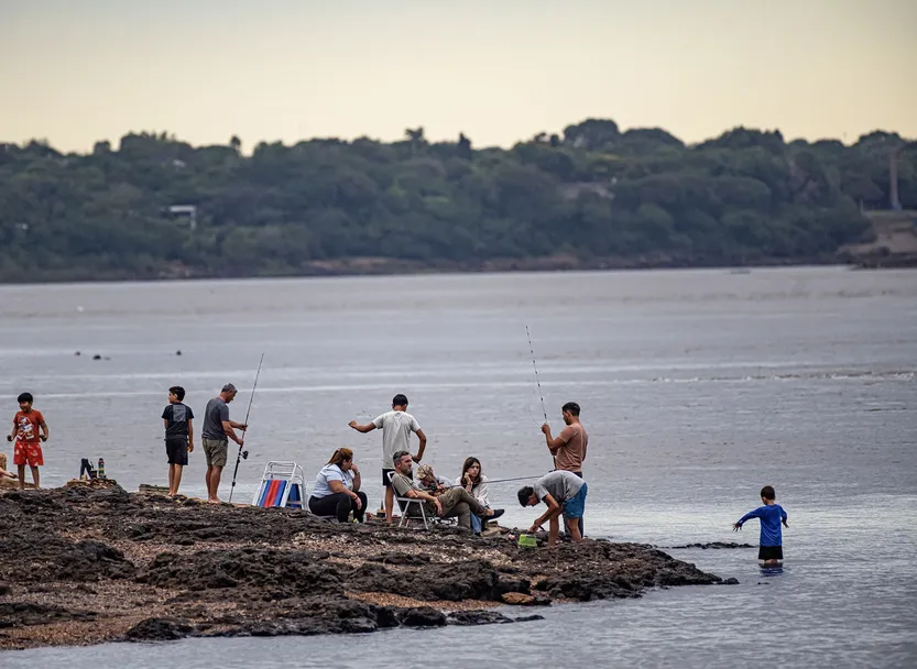 20260324 suple T P8-9F1