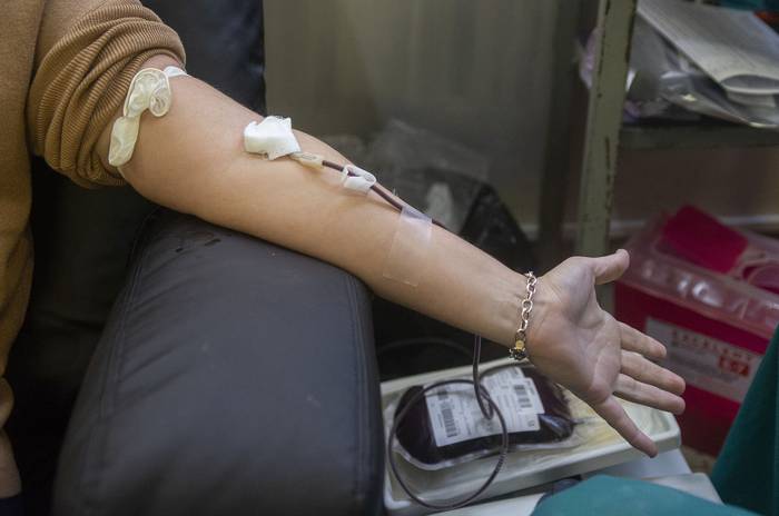 Donación de sangre (archivo, mayo de 2021). · Foto: Alessandro Maradei