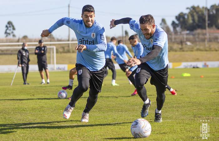 Luis Suárez y Nahitan Nández, durante un entrenamiento de la selección, el 12 de junio, en el Complejo Celeste.
 · Foto: AUF, S/D de autor