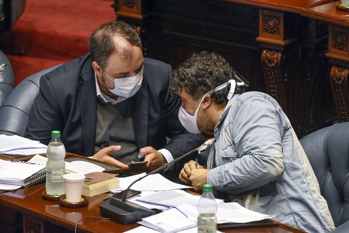 Charles Carrera y Oscar Andrade, en el Senado (archivo, abril de 2020). · Foto: Federico Gutiérrez
