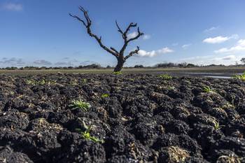 Paso Severino (archivo, julio de 2022). · Foto: Ernesto Ryan