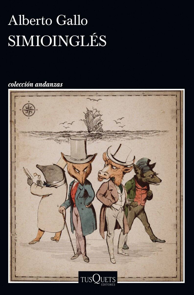simioingles-simioingles