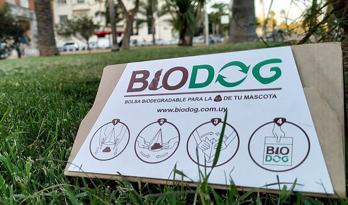 Foto: biodog.com.uy