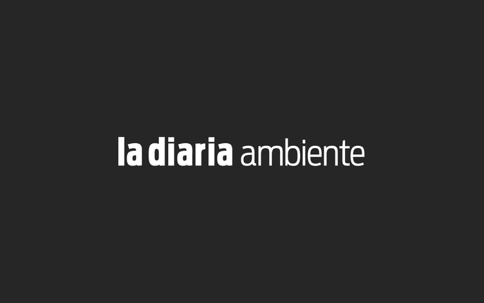 Foto principal del artículo 'Lanzamos el emergente Ambiente'