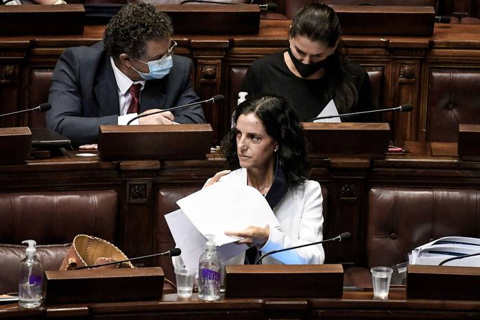 Azucena Arbeleche, ayer, en la Comisión Permanente del Parlamento. · Foto: Javier Calvelo, adhocFOTOS