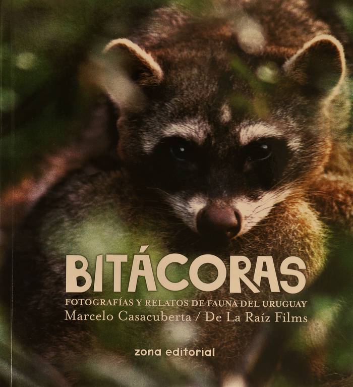 Foto principal del artículo 'El libro Bitácoras nos propone descubrir la fauna que habita distintos ecosistemas de Uruguay'