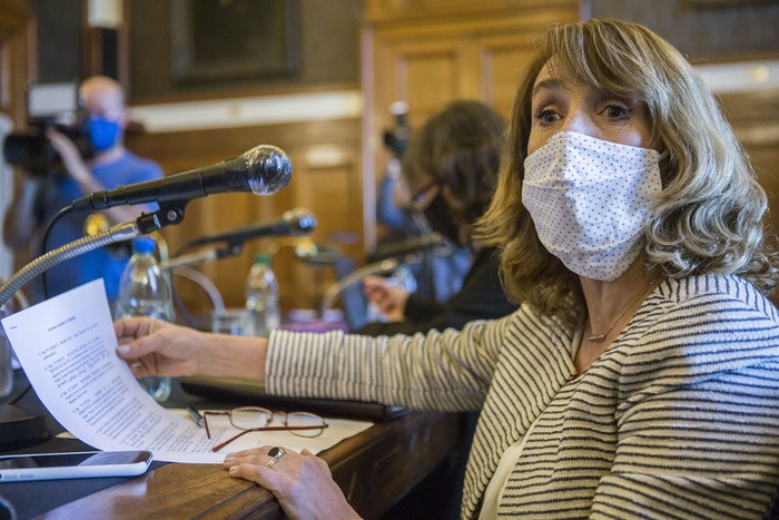 Carmen Asiaín, en la Comisión de Constitución y Legislación. · Foto: .