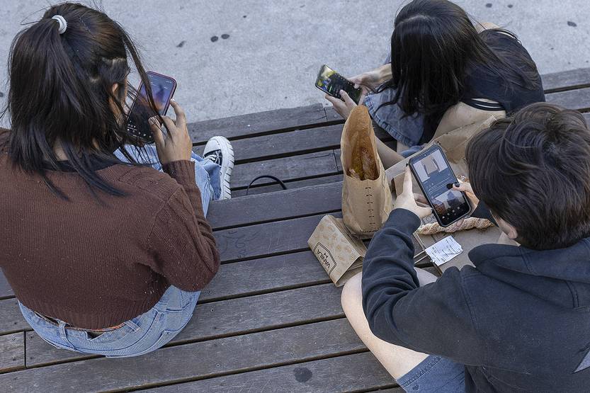 20250104 tapa brain rot